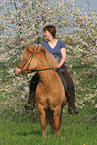 woman rides Icelandic horse