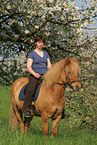 woman rides Icelandic horse