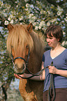 woman with Icelandic horse