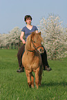 woman rides Icelandic horse