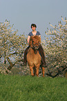 woman rides Icelandic horse