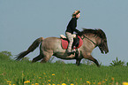 woman rides Icelandic horse