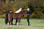 woman with Icelandic horses