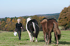 woman with Icelandic horses