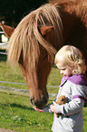 girl and Icelandic horse