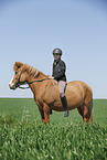 girl with Icelandic Horse