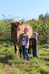 children and Icelandic horse