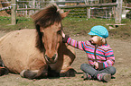 child and Icelandic horse