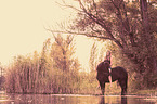 woman and Icelandic horse