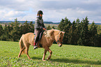 woman rides Icelandic horse