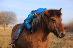 girl and Icelandic horse
