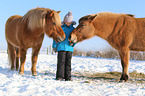 girl and Icelandic horses