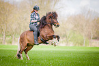 woman rides Icelandic horse