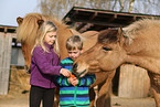 kids and Icelandic Horses