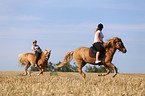 women rides Icelandic Horses