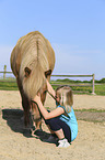 Icelandic Horse with girl