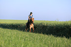 rider on Icelandic horse