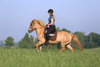 rider on Icelandic horse