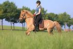 rider on Icelandic horse