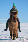 rider on Icelandic horse