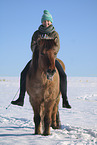 rider on Icelandic horse