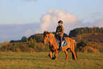 rider on Icelandic horse