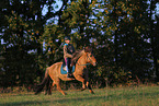 rider on Icelandic horse