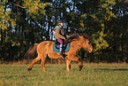 rider on Icelandic horse