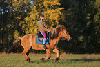 rider on Icelandic horse