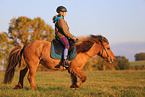 rider on Icelandic horse