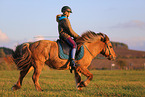 rider on Icelandic horse