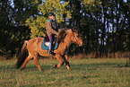 rider on Icelandic horse