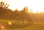 rider on Icelandic horse