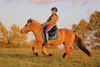 rider on Icelandic horse