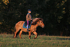 rider on Icelandic horse