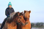 girl with Icelandic horses