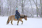 rider on Icelandic horse