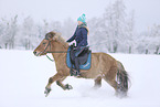 rider on Icelandic horse