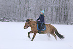 rider on Icelandic horse