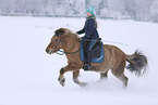 rider on Icelandic horse