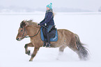 rider on Icelandic horse