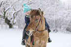 rider on Icelandic horse