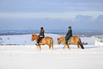 riders on Icelandic horses