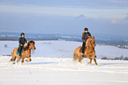 riders on Icelandic horses