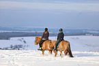 riders on Icelandic horses