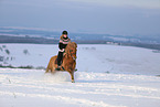 rider on Icelandic horse