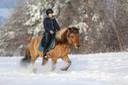 rider on Icelandic horse