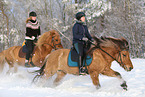 riders on Icelandic horses