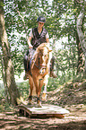 woman rides Icelandic horse