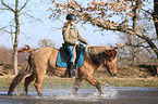 woman rides Icelandic horse